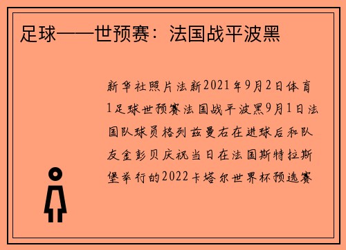 足球——世预赛：法国战平波黑