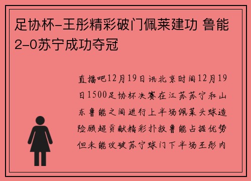 足协杯-王彤精彩破门佩莱建功 鲁能2-0苏宁成功夺冠